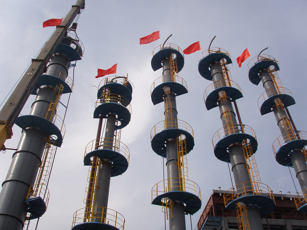 Plants: image 1 0f 4 thumb