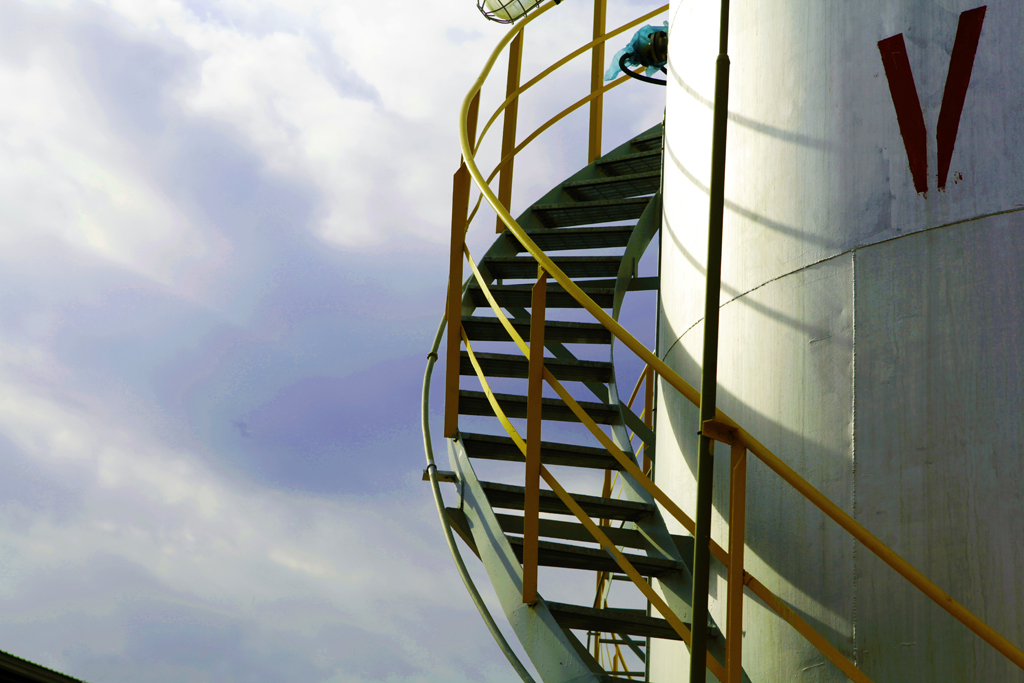 Plants: image 1 0f 4 thumb