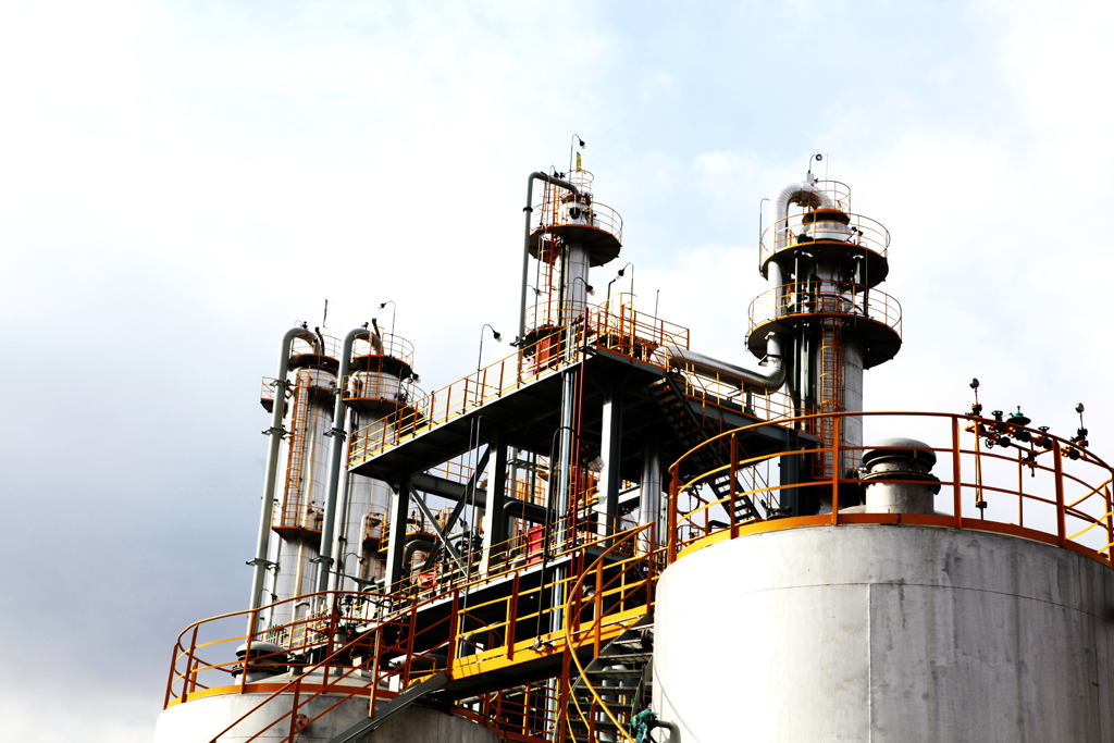 Plants: image 1 0f 4 thumb