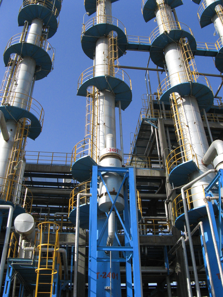 Plants: image 1 0f 4 thumb